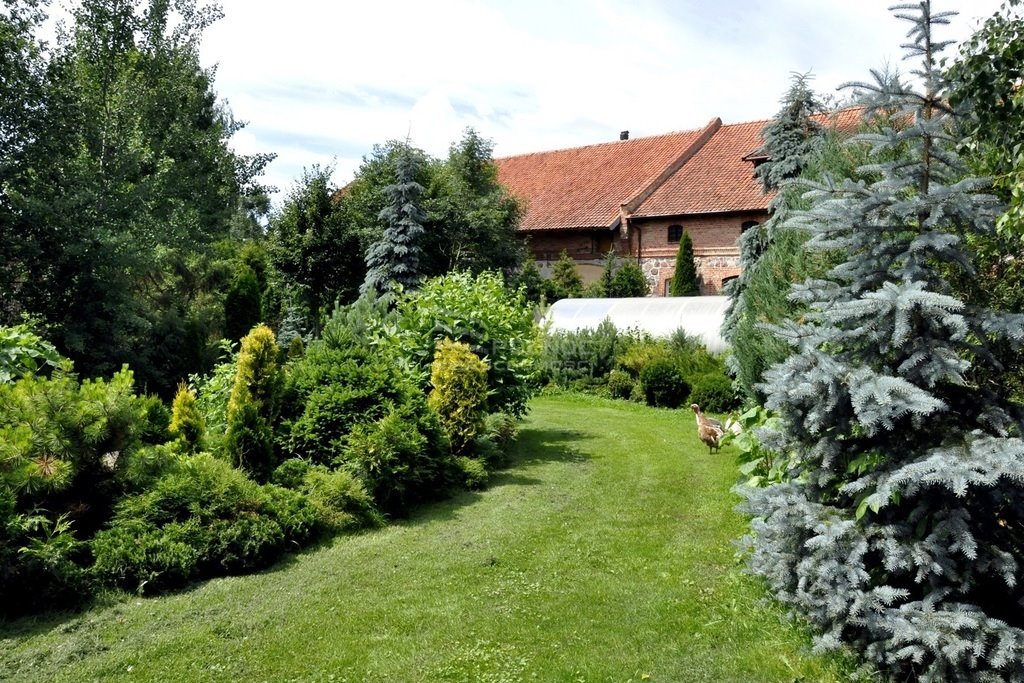 Dom na sprzedaż Worpławki  1 500m2 Foto 15