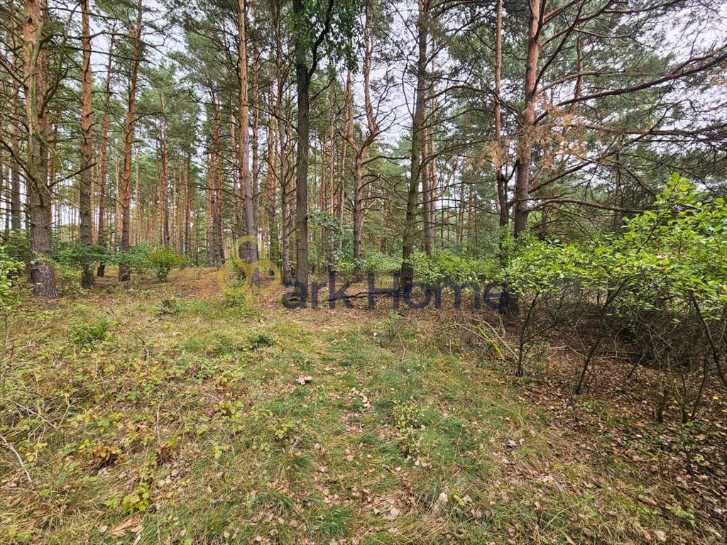 Działka budowlana na sprzedaż Leśniów Mały  1 600m2 Foto 2