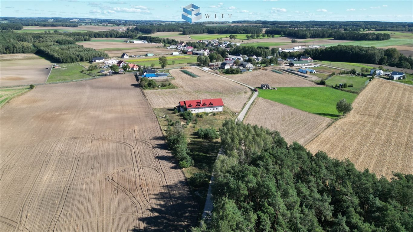 Działka inna na sprzedaż Świniarc  14 672m2 Foto 3