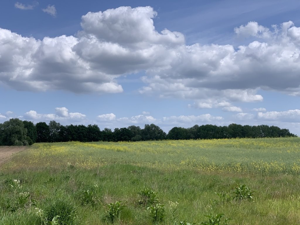 Działka inwestycyjna 1,2 ha pod zabudowę i las - polecam! Stobno, Pod Dębami  12 174m2 Foto 1