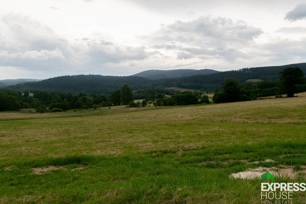 Działka budowlana na sprzedaż Stronie Śląskie, Polna  2 617m2 Foto 12