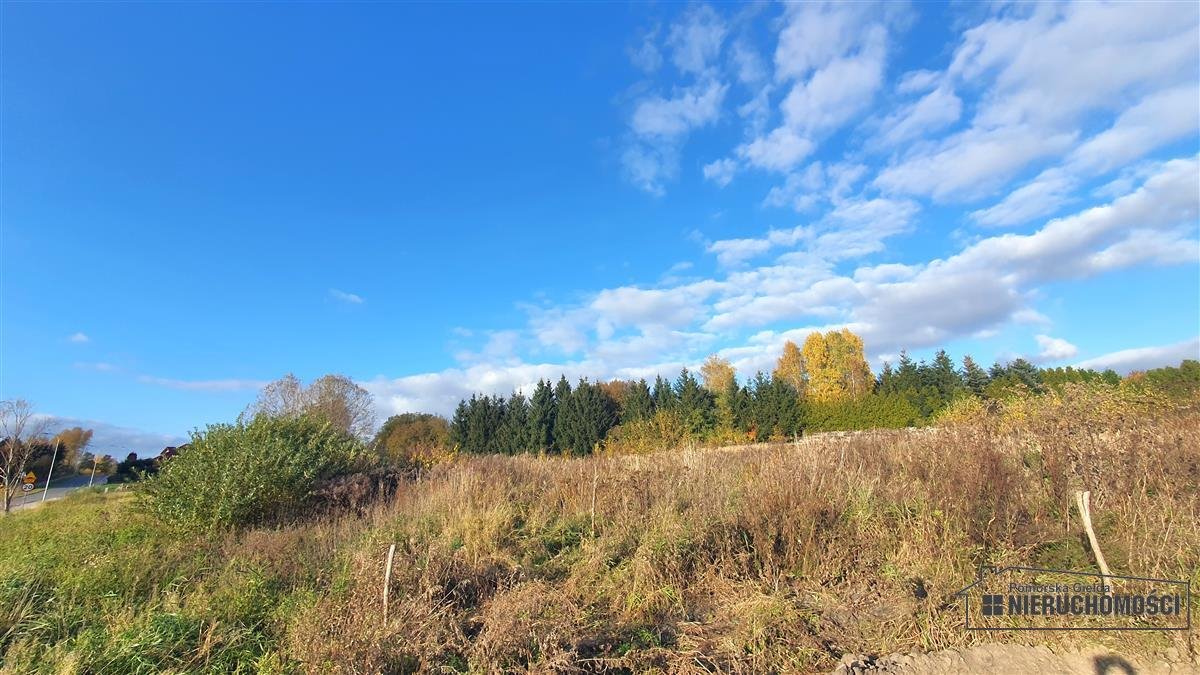 Działka budowlana na sprzedaż Szczecinek, Raciborki, Raciborki, Szarych Szeregów  1 502m2 Foto 6