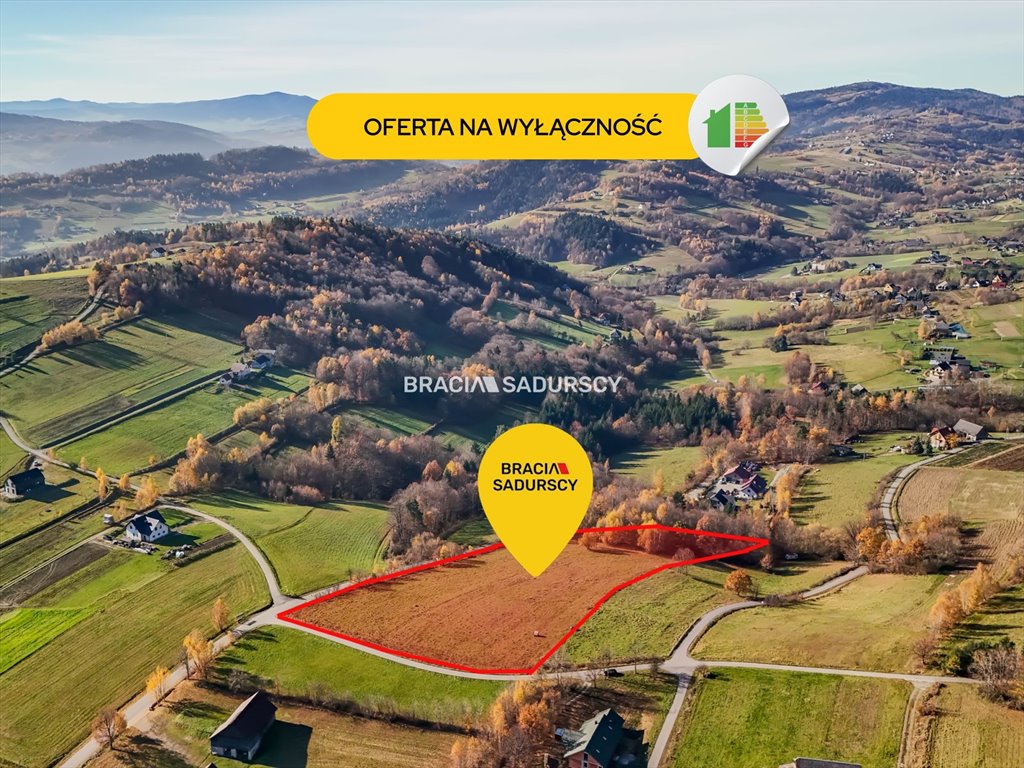 Sprzedam widokową działkę 13 000 m² w Kamionce Małej Kamionka Mała  13 000m2 Foto 1