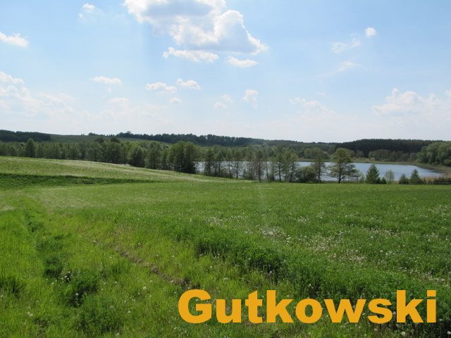 Działka rolna na sprzedaż Jamielnik, gmina Nowe Miasto Lubawskie  10 001m2 Foto 4