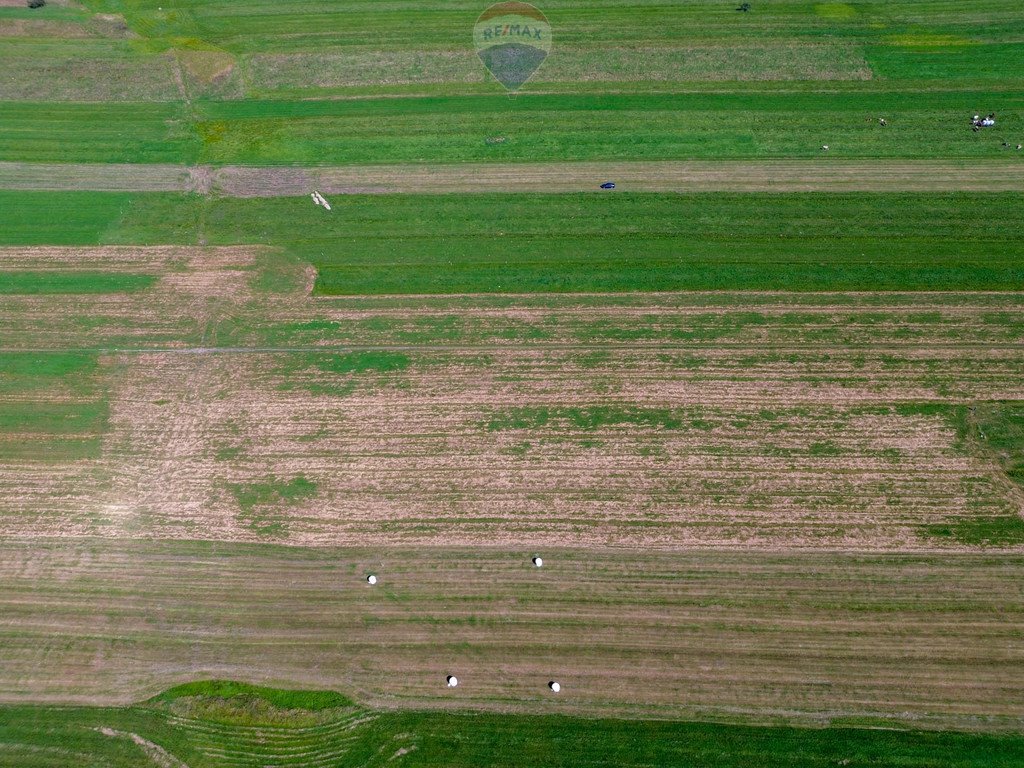 Działka rolna na sprzedaż Stare Bystre  5 013m2 Foto 4