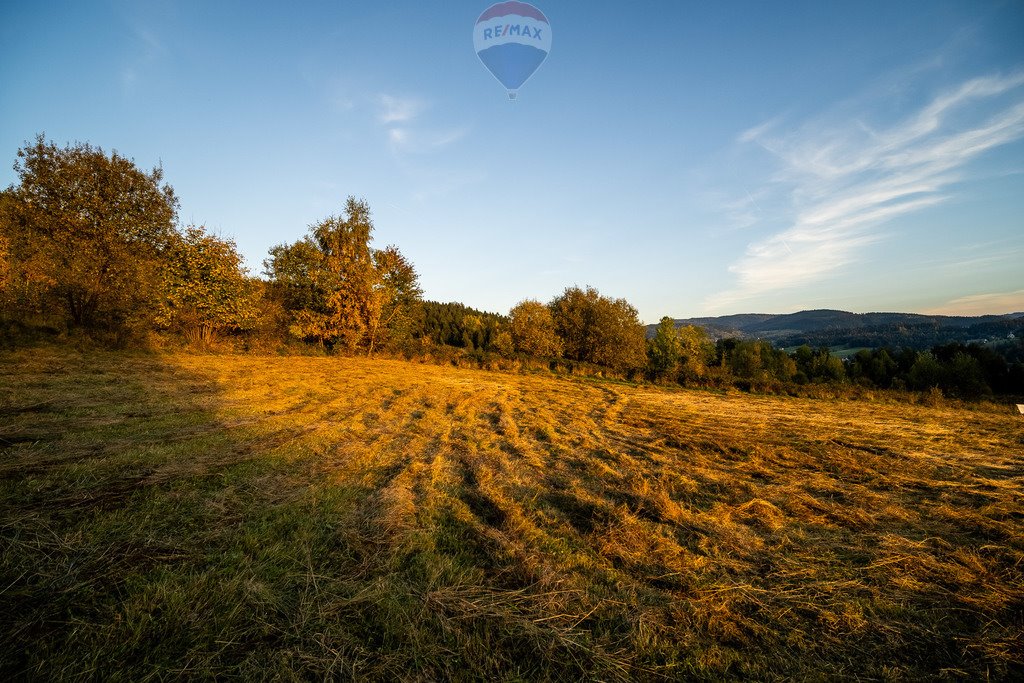 Działka budowlana na sprzedaż Łostówka  2 946m2 Foto 16