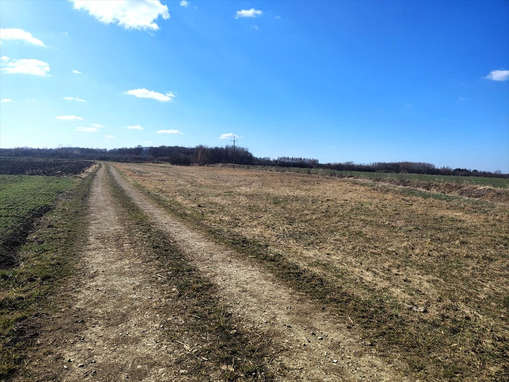Działki budowlane w Jarosławiu, od 10 ar, media w drodze Jarosław  1 000m2 Foto 1