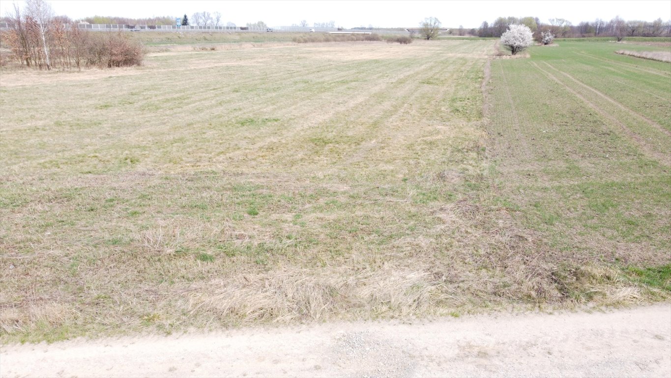 Działka budowlana na sprzedaż Krzeczów  5 502m2 Foto 1