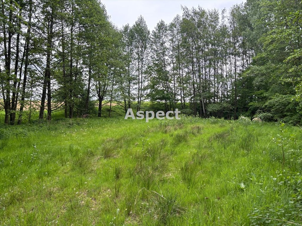 Działka budowlana na sprzedaż Studzionka  929m2 Foto 1
