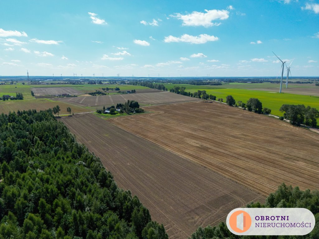 Działka inna na sprzedaż Nowe Skórowo  20 465m2 Foto 3