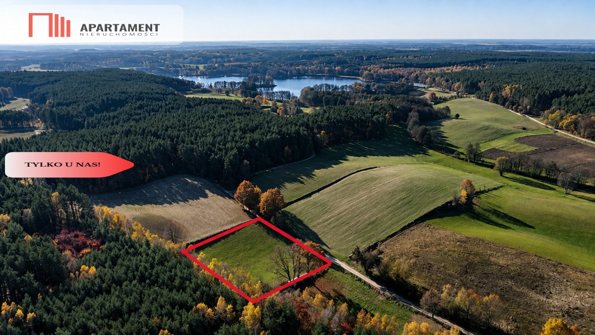 Działka 4800 m² z warunkami zabudowy - Dormowo polecam Dormowo  4 800m2 Foto 1
