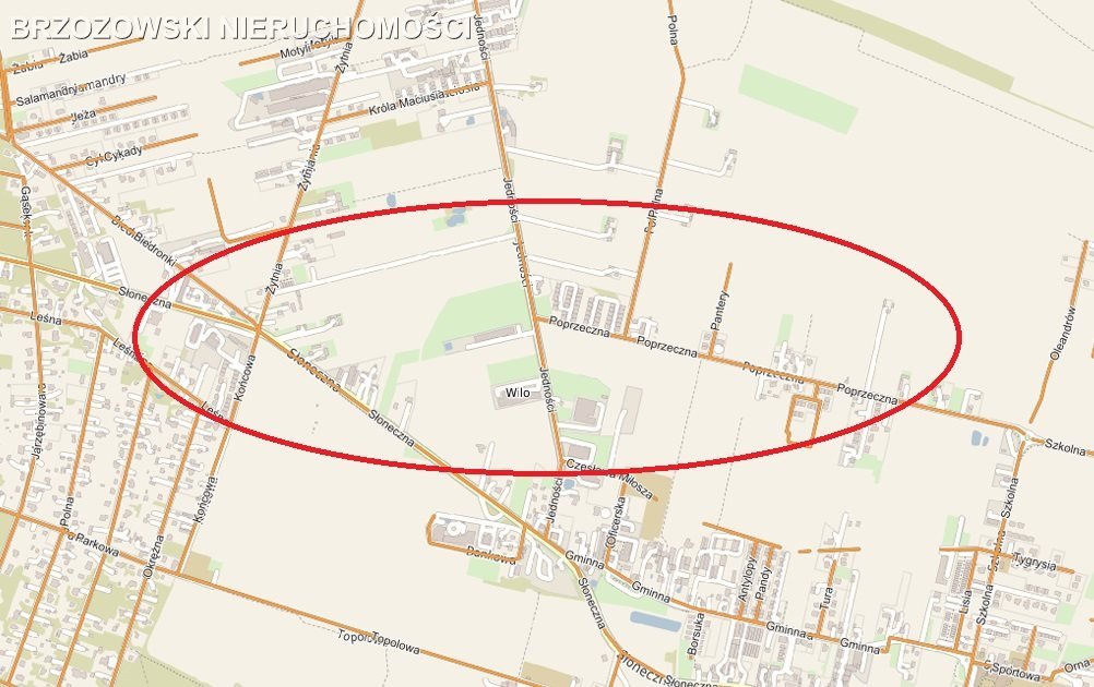 Działka inwestycyjna na sprzedaż Lesznowola  10 436m2 Foto 1