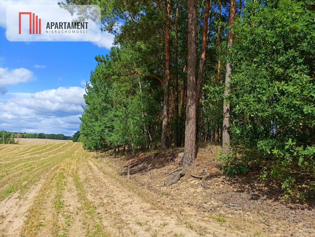 Działka budowlana na sprzedaż Miedzno  3 000m2 Foto 7