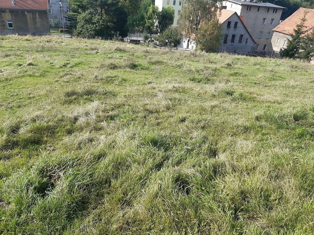 Działka inna na sprzedaż Wałbrzych, Nowe Miasto  17 000m2 Foto 14