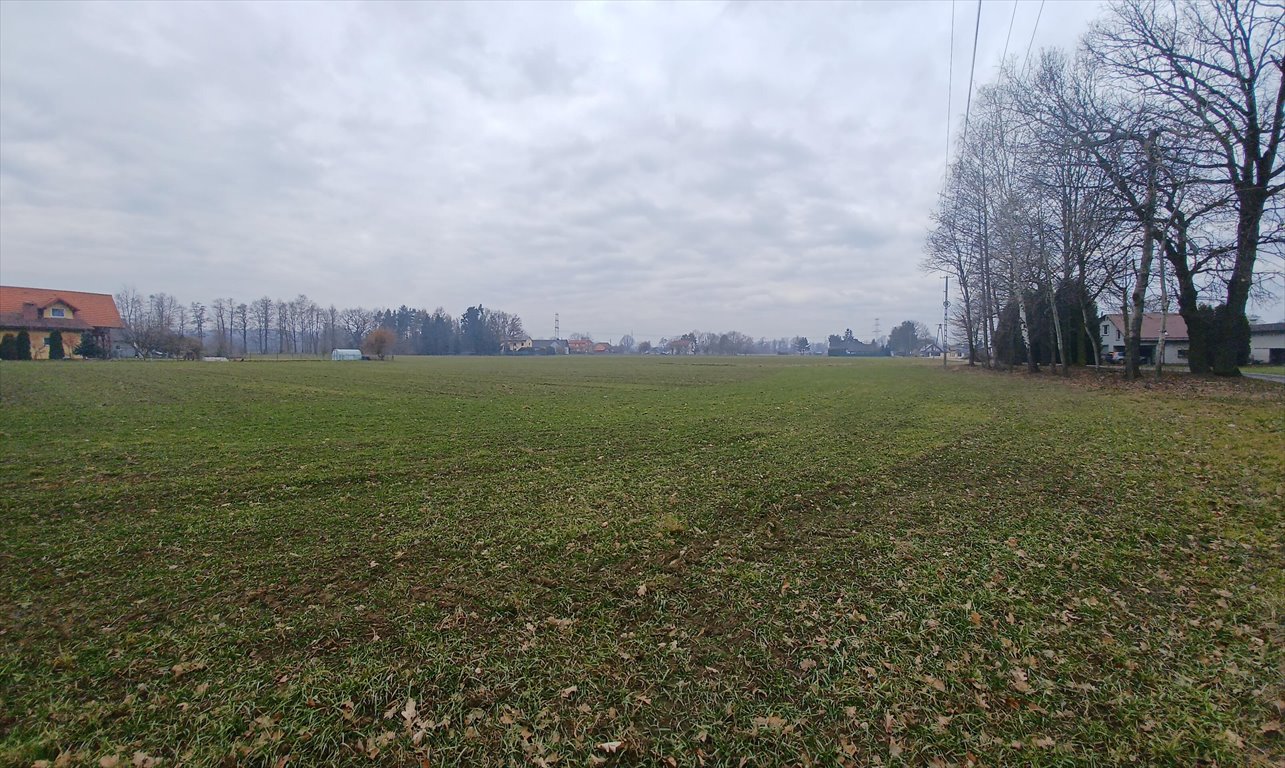 Działka budowlana na sprzedaż Ochaby Wielkie  15 747m2 Foto 4