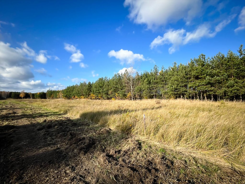 Działka budowlana na sprzedaż Magonie  1 200m2 Foto 5