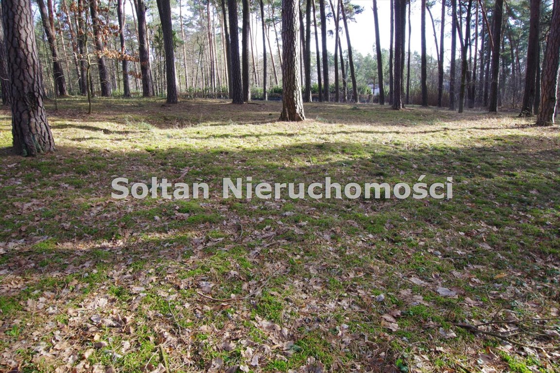 Działka budowlana na sprzedaż Konstancin-Jeziorna, Skolimów  4 645m2 Foto 3