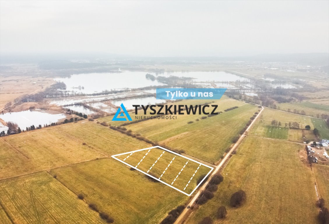 Działka rolna na sprzedaż Kniewo  13 000m2 Foto 1