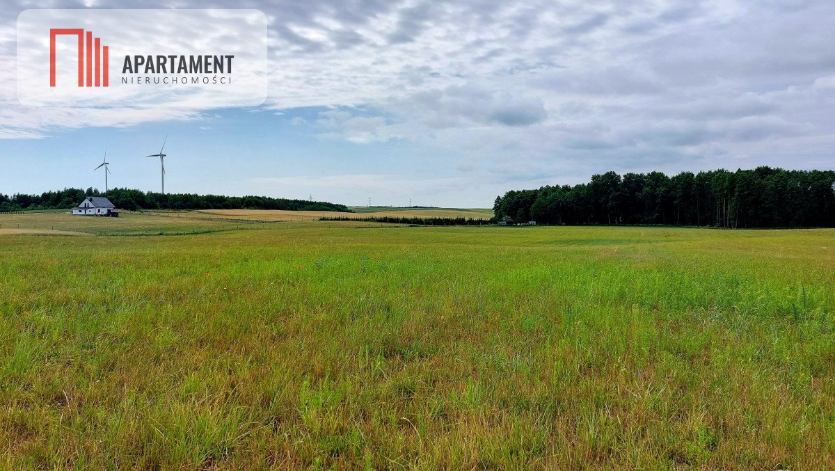 Działka budowlana na sprzedaż Witunia  1 002m2 Foto 4