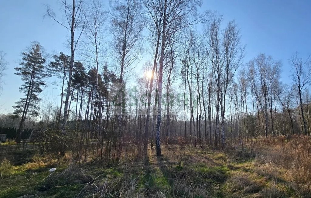 Działka 1502 m² z prądem i światłowodem - zapraszam Mościska  1 502m2 Foto 1