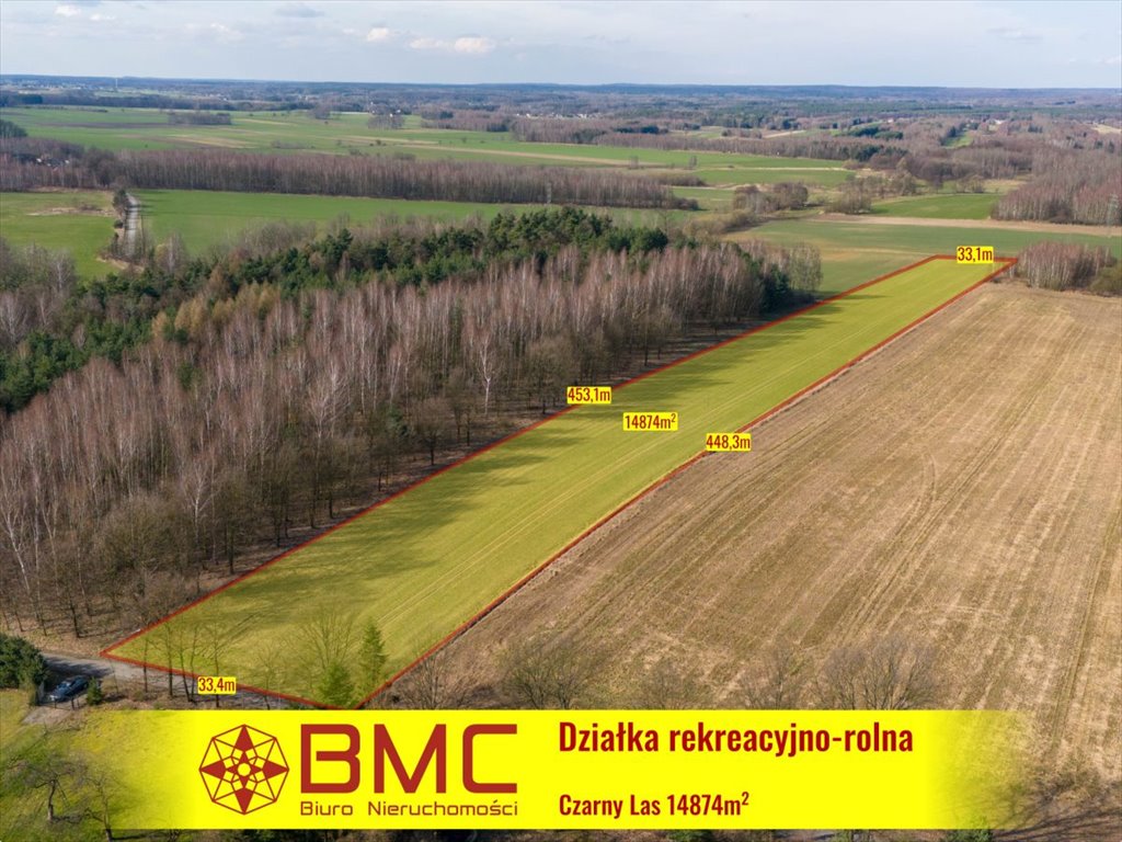 Działka rekreacyjna na sprzedaż Woźniki, Czarny Las, Czarny Las  14 911m2 Foto 1