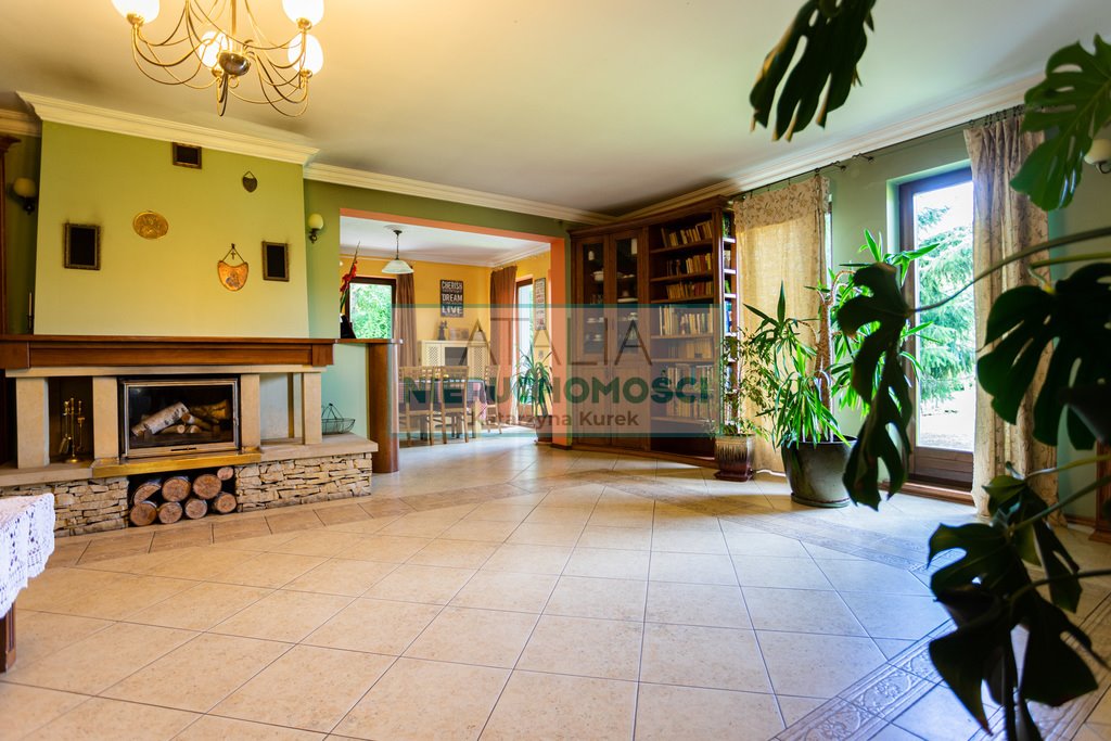 Rezydencja 436 m² z dużym tarasem i stawem polecam Międzyborów  436m2 Foto 1