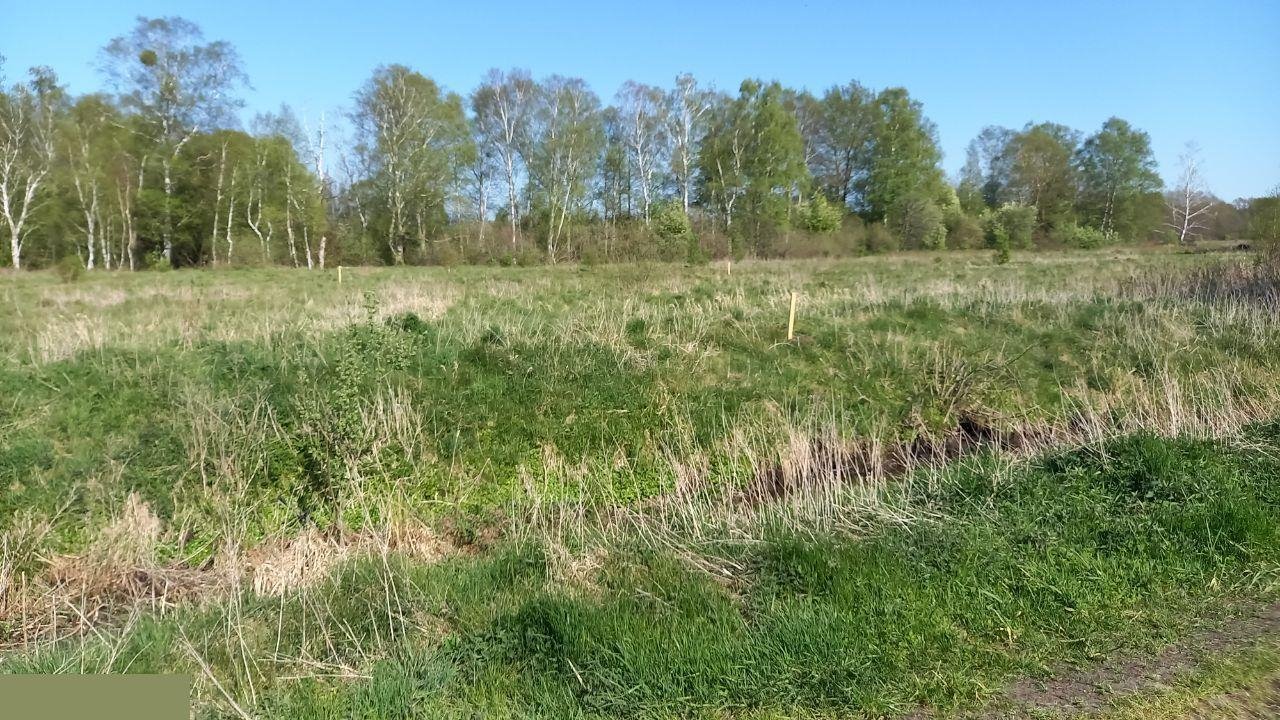 Działka rolna na sprzedaż Choczewo  600m2 Foto 4