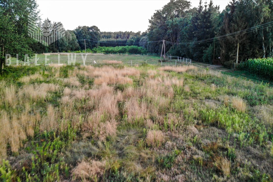 Działka rolna na sprzedaż Baraki  3 000m2 Foto 12