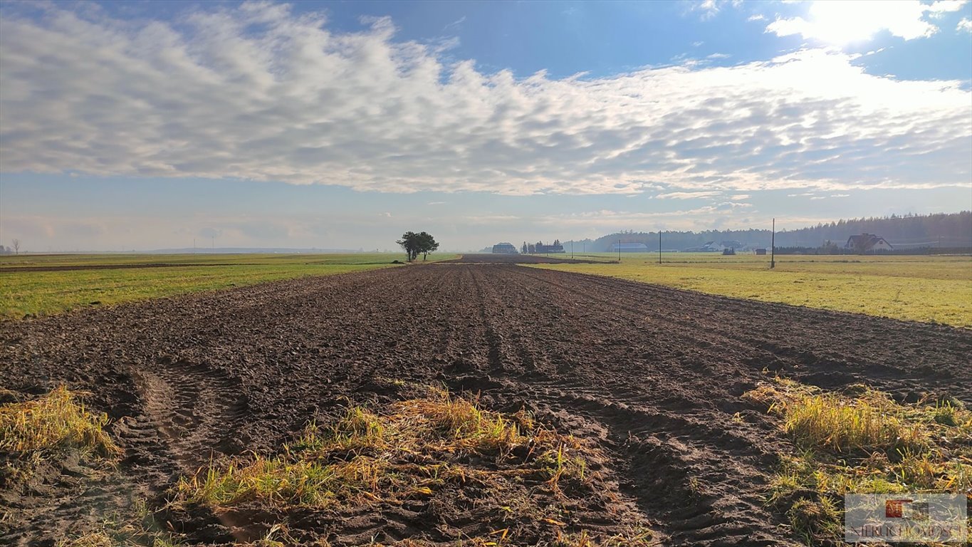 Działka budowlana na sprzedaż Ligota Turawska  3 653m2 Foto 1