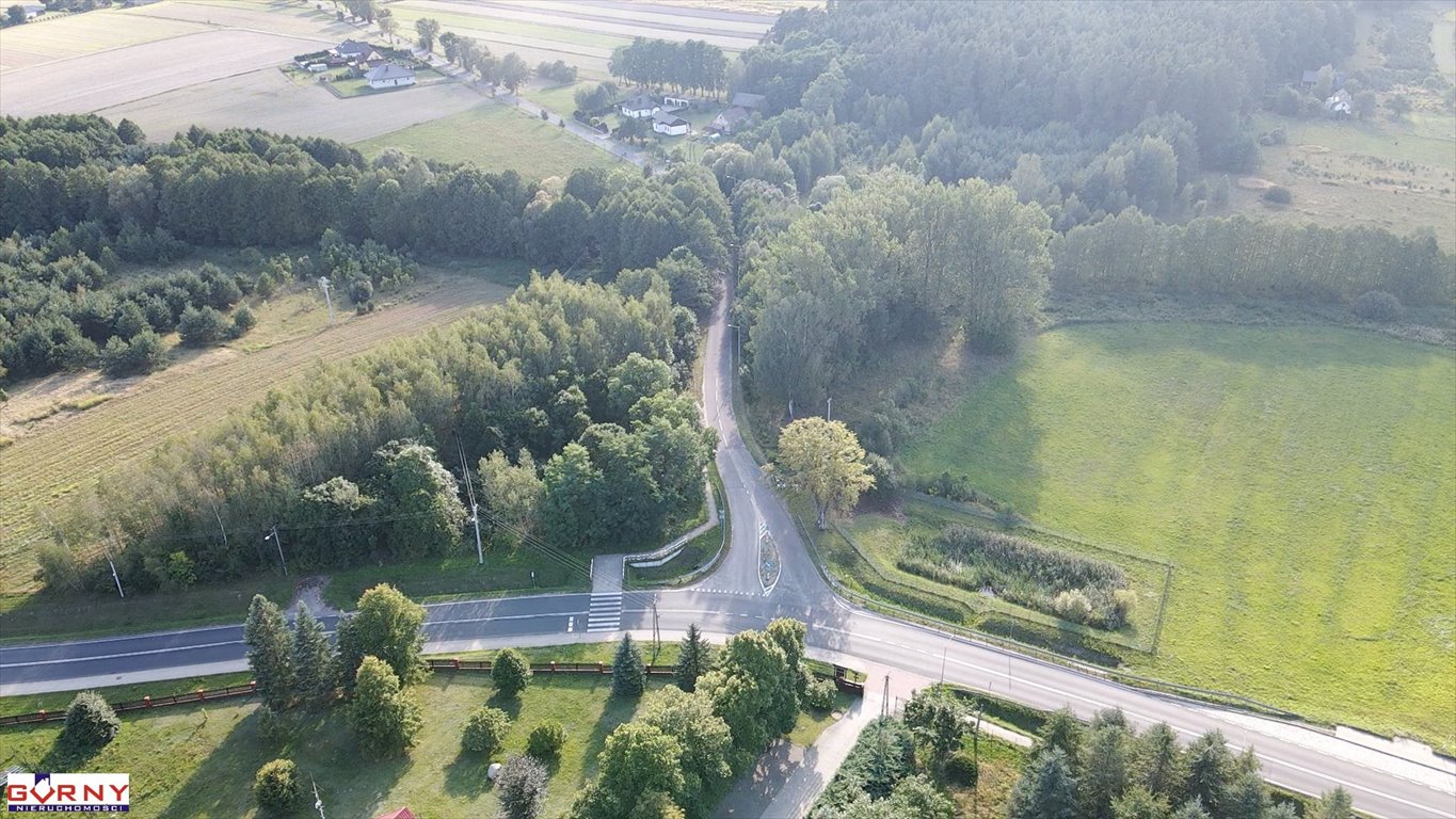 Zdjęcie 6
