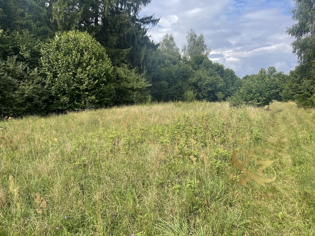 Działka budowlana na sprzedaż Solniki  2 250m2 Foto 2