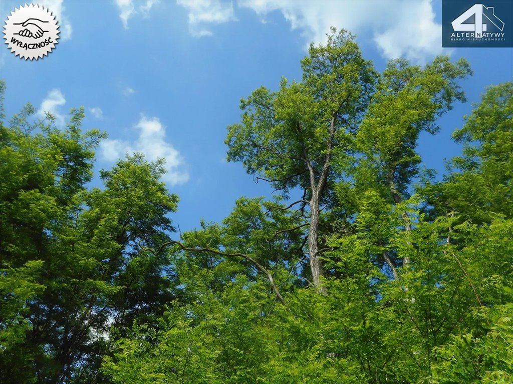 Działka budowlana na sprzedaż Pabianice, Pabianicka  1 124m2 Foto 4