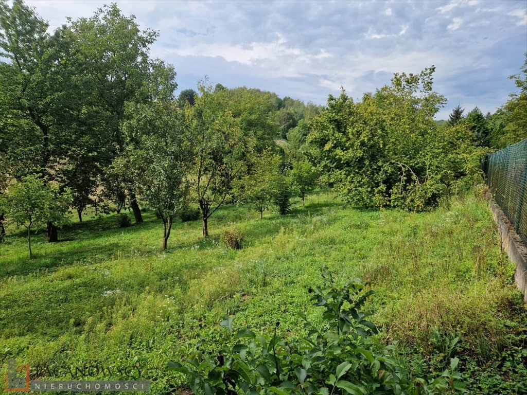 Zdjęcie 6