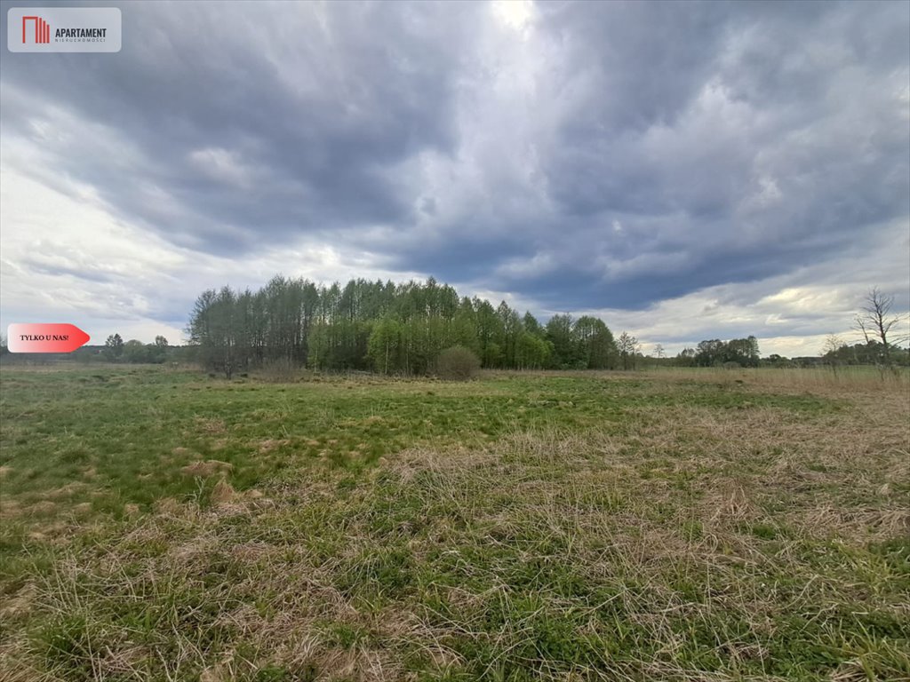 Na sprzedaż działka 1,33 ha nad rzeką Wierzycą - prywatność i rekreacja Lipy  13 300m2 Foto 1