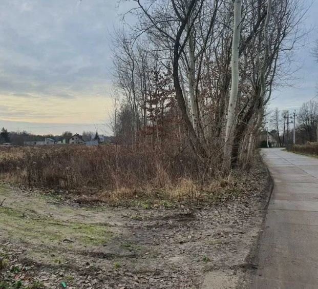 Działka rolna pod dzierżawę Ossów  9 000m2 Foto 3