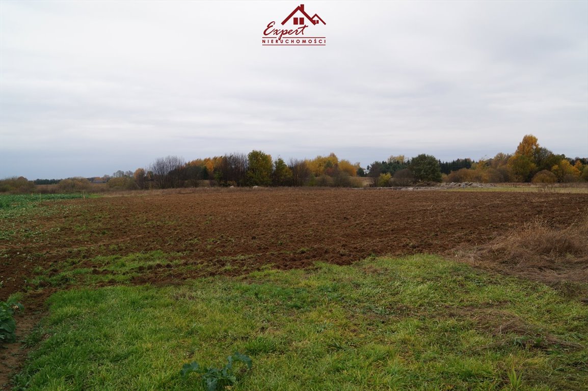 Działka budowlana na sprzedaż Rudzienice  1 233m2 Foto 6