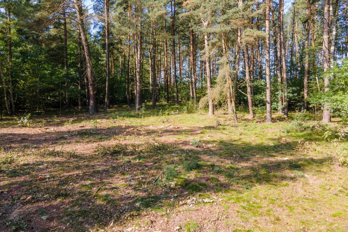 Działka budowlana na sprzedaż Banino, Lazurowa  2 500m2 Foto 4