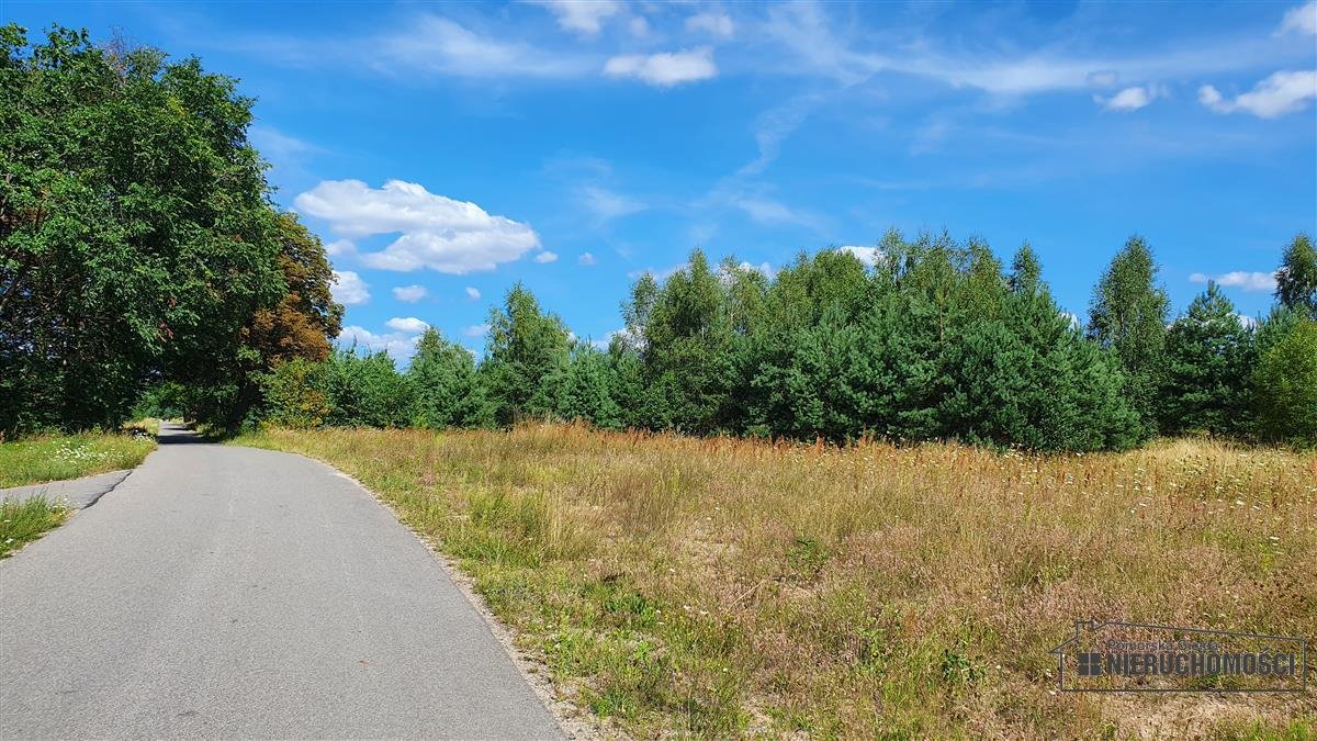 Działka budowlana na sprzedaż Piława  3 253m2 Foto 12