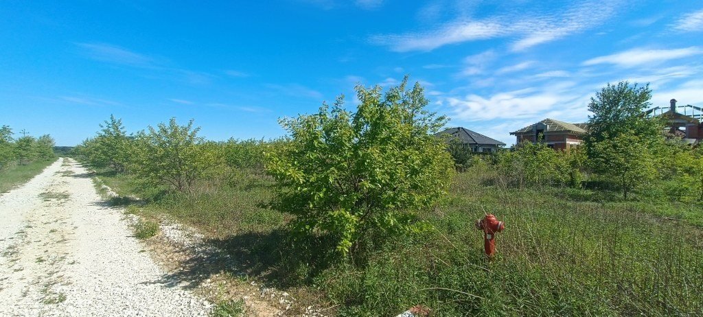 Działka budowlana na sprzedaż Piaseczna Górka, Kanarkowa  1 065m2 Foto 5