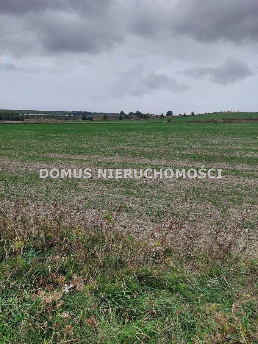 Działka rolna na sprzedaż Buczek  10 800m2 Foto 2