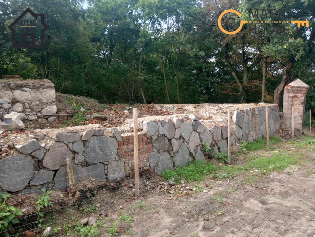 Działka rolna na sprzedaż Lisewo  2 300m2 Foto 2