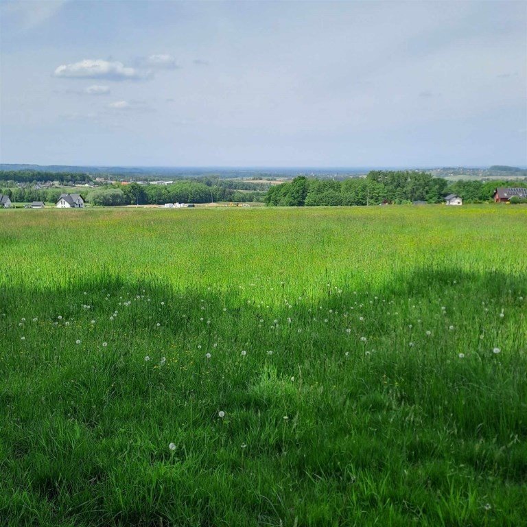 Działka budowlana z widokiem pod lasem, 30 arów Jasienica, Jaworowa  3 033m2 Foto 1