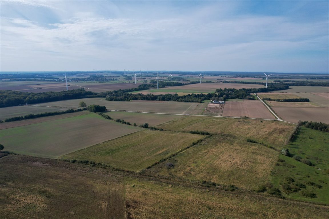 Działka rolna na sprzedaż Duninówko, Duninówko  3 050m2 Foto 5