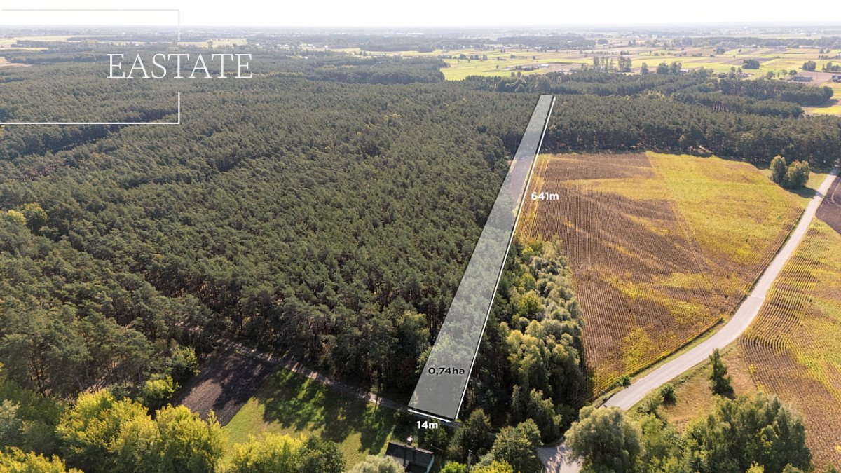 Działka leśna na sprzedaż Maurzyce  7 400m2 Foto 1