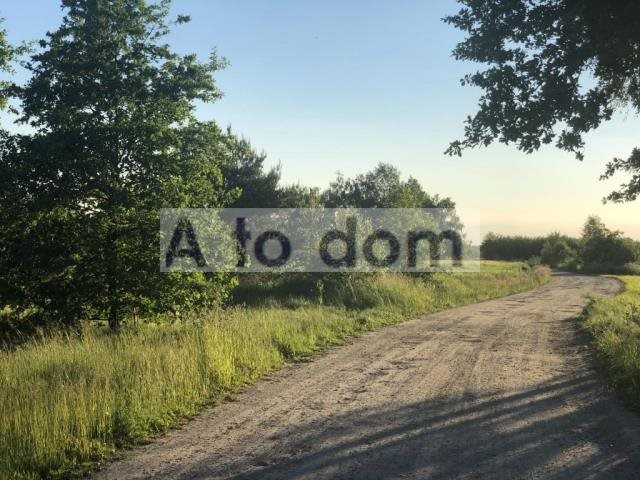 Działki rolne z linią brzegową rzeki Rządza, 19 658 m² Turze  19 658m2 Foto 1