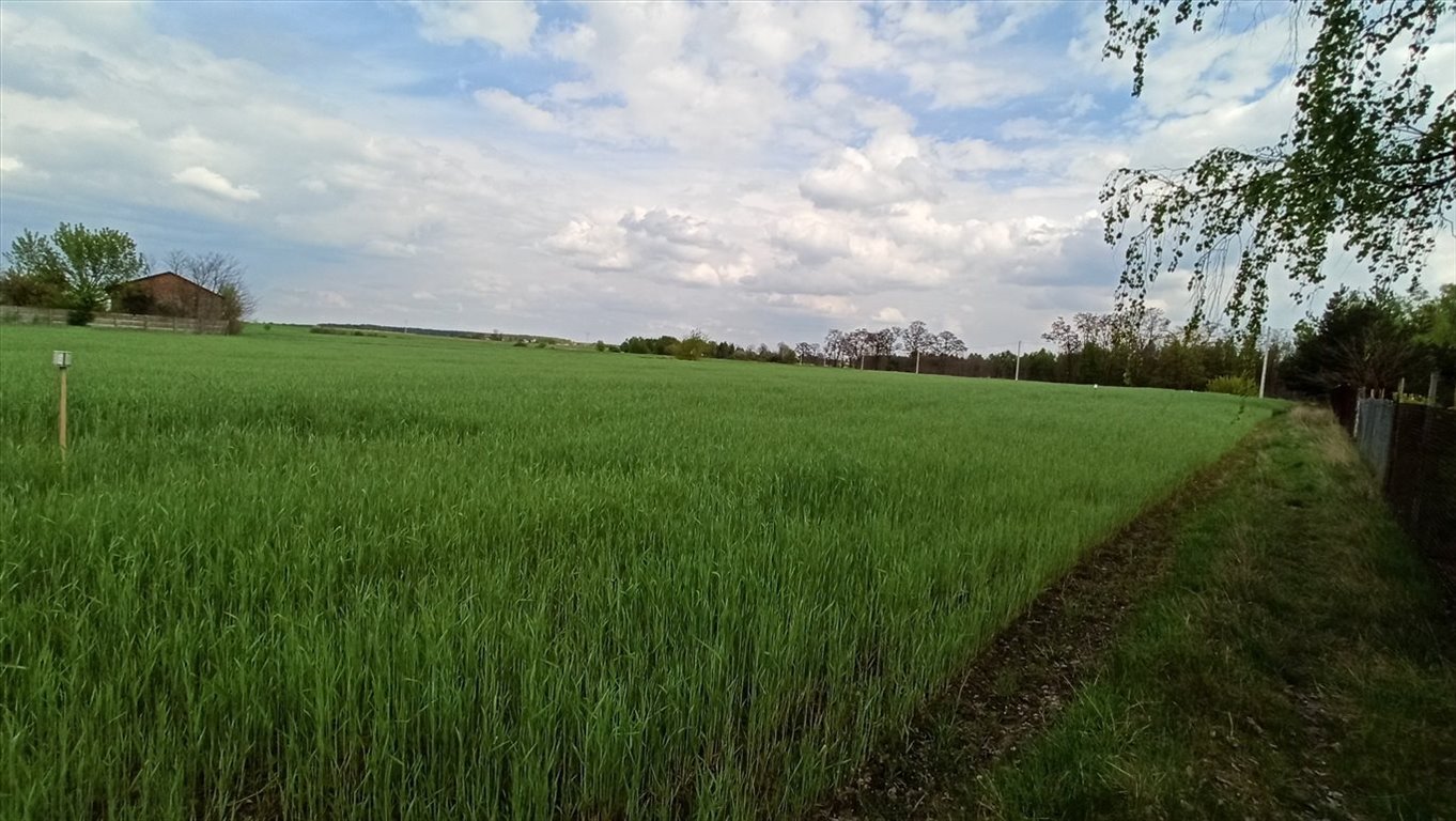 Działki budowlane w Szadku - media, asfalt, 2100 m² Szadek  2 100m2 Foto 1