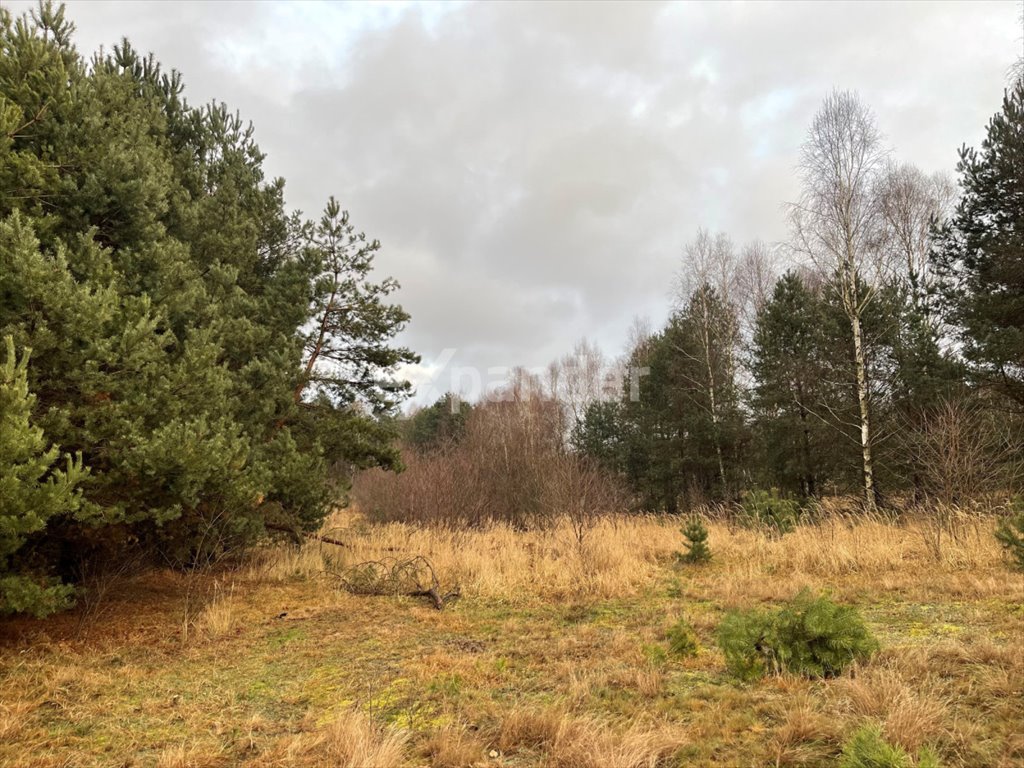 Szeroka działka budowlana 1204 m² z dostępem do drogi Częstochowa  1 204m2 Foto 1