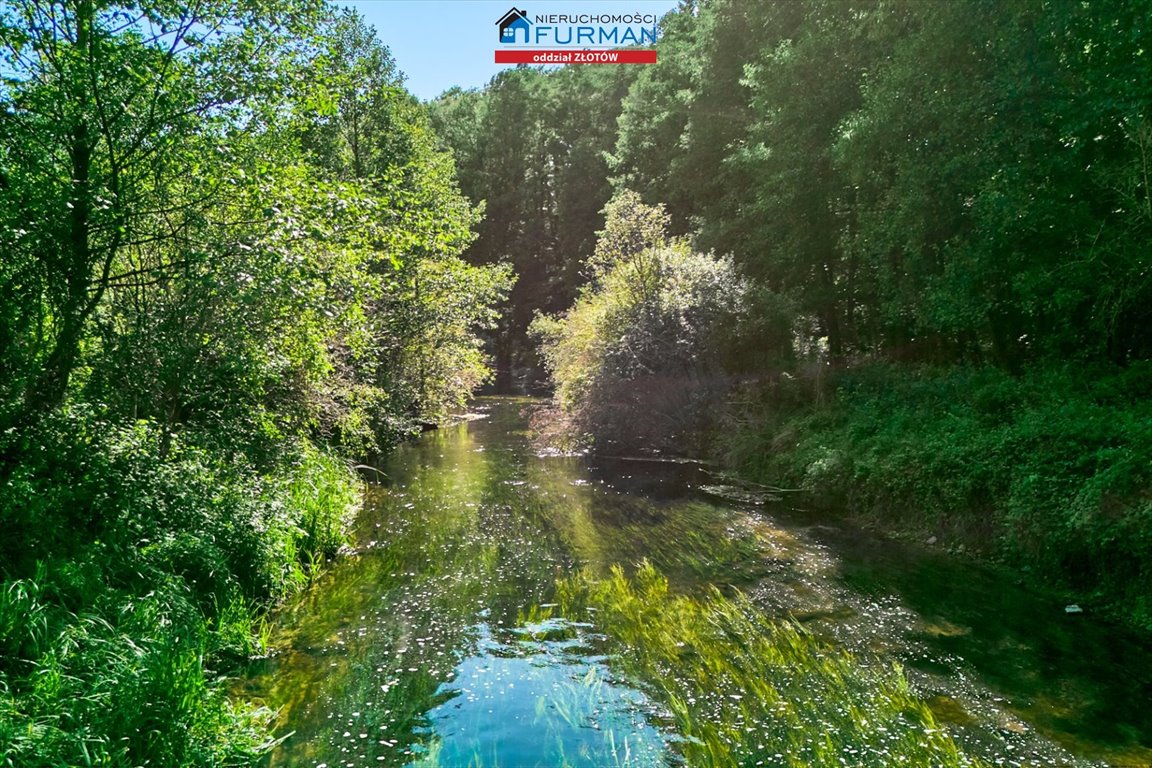 Duża działka pod agroturystykę (6,4 ha) z rzeką i lasem Zabrodzie  64 169m2 Foto 1