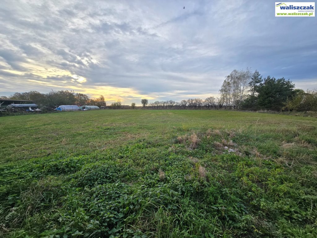 Dom na sprzedaż Piotrków Trybunalski, Świerczów  2 300m2 Foto 9