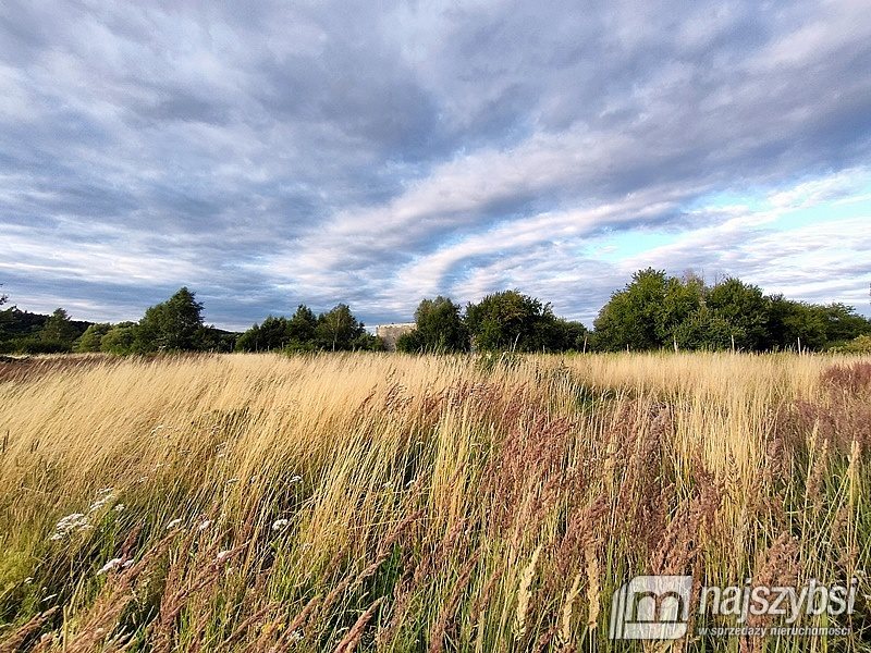 Działka rolna na sprzedaż Łupowo, Wieprzyce  2 352m2 Foto 10